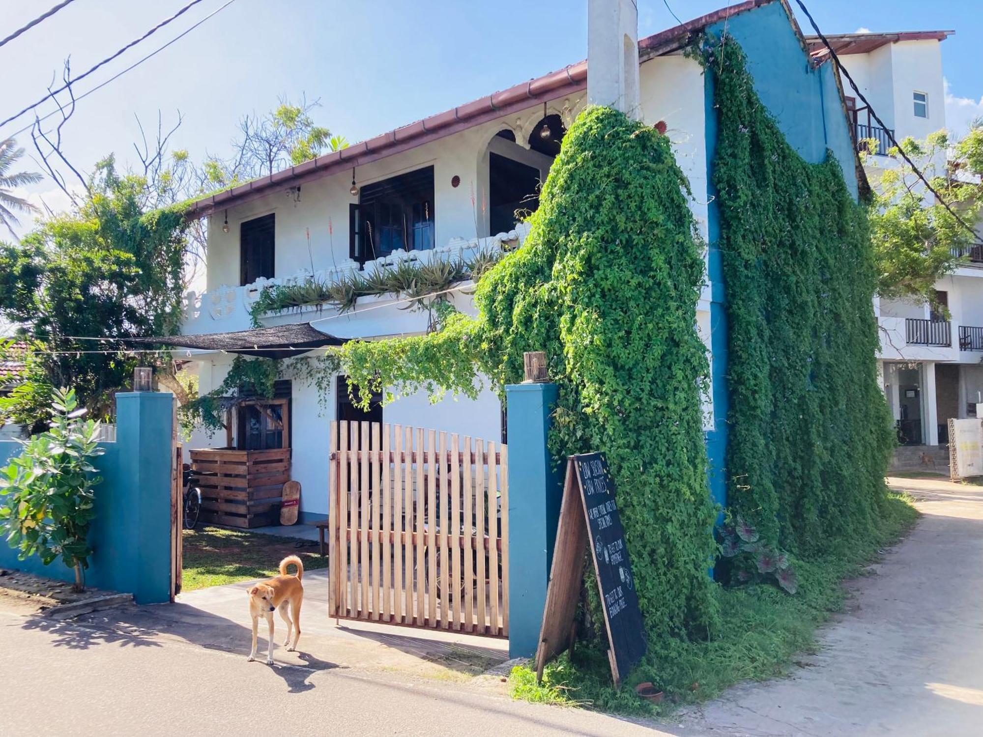 Polhena Just Another Guesthouse מראה חיצוני תמונה